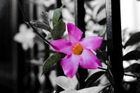 Website-Portfolio-122