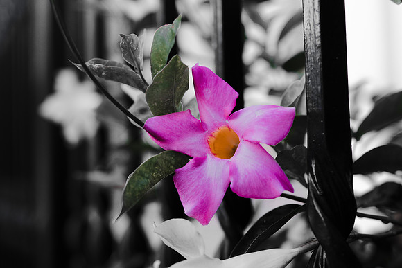 Website-Portfolio-122