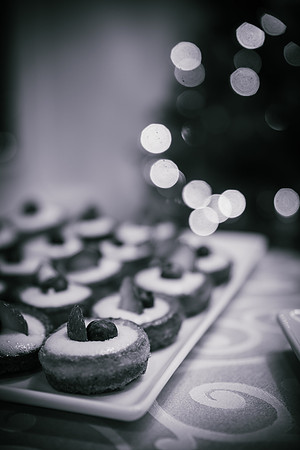 Food Samples-2483