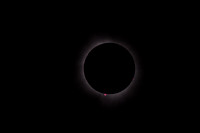 SOLAR ECLIPSE-8950