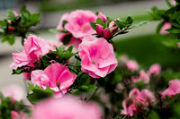 Website-Portfolio-220