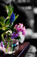 Website-Portfolio-120