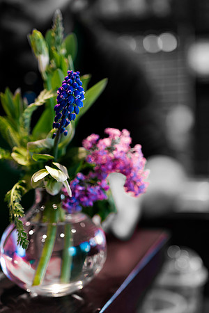 Website-Portfolio-120
