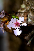 Website-Portfolio-229