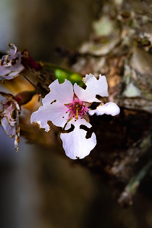 Website-Portfolio-229
