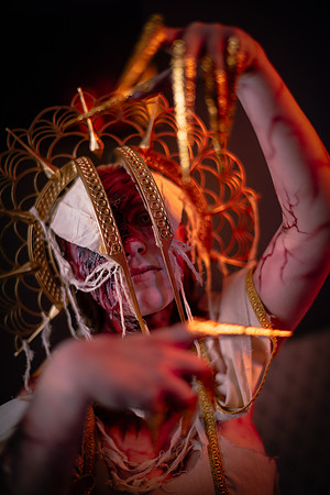 COSPLAY WORLD 25-8913