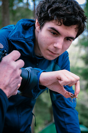 Insect Club-1300