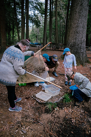 Insect Club-1294