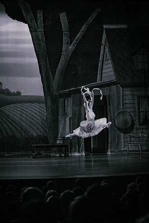 La Fille Mal Gardée BW-2698