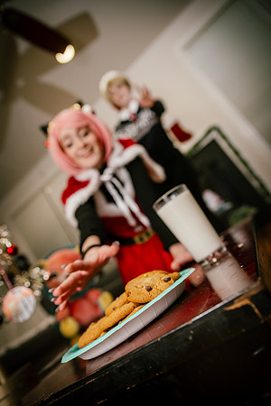 SPY XMAS FAMILY -3014