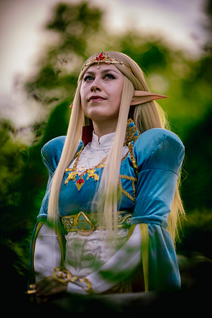 J Zelda-7594