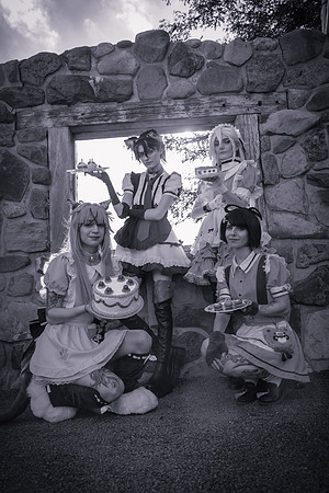 cafe 2024-7835