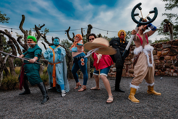 One Piece Crew-1132