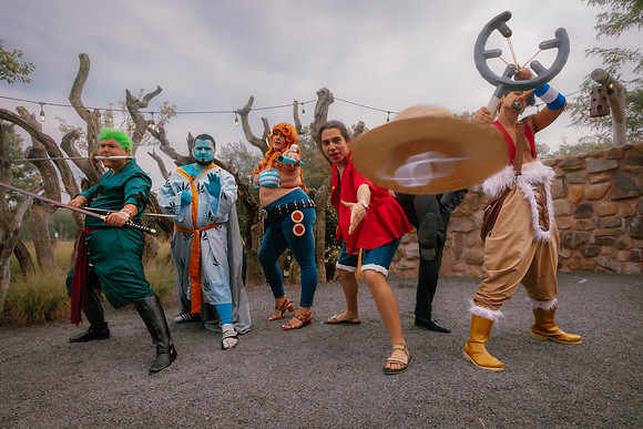 One Piece Crew-1133