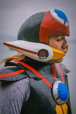 megaman-8129