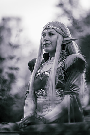 J Zelda-7593-2