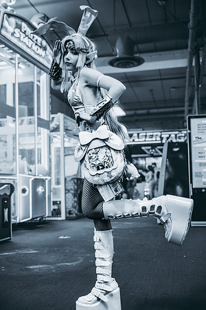 magical__cat-4004