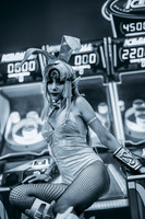 magical__cat-3901