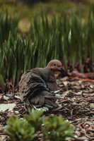 Website-Portfolio-215