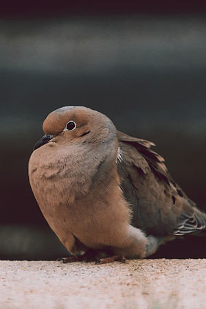 Website-Portfolio-214