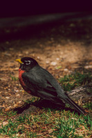 Website-Portfolio-202