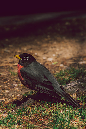 Website-Portfolio-202