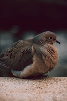 Website-Portfolio-195