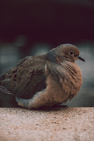 Website-Portfolio-195