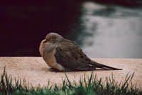 Website-Portfolio-207