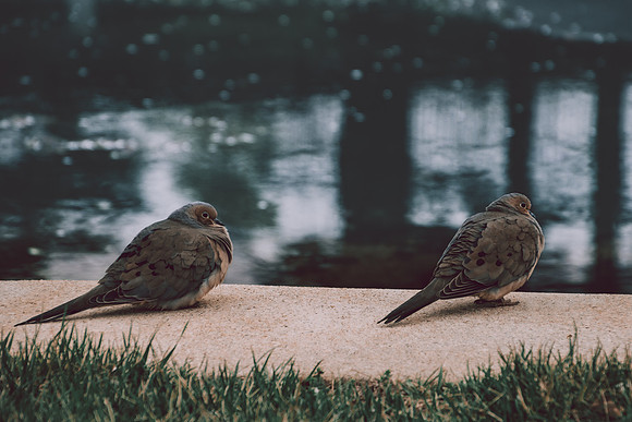 Website-Portfolio-208