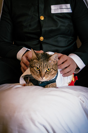 Rengoku Cat--8