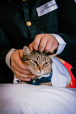 Rengoku Cat--16