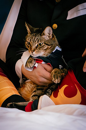 Rengoku Cat--25