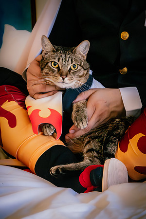 Rengoku Cat--35