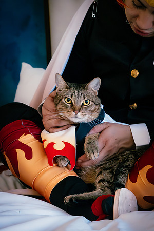 Rengoku Cat--34
