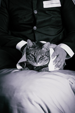 Rengoku Cat-5290