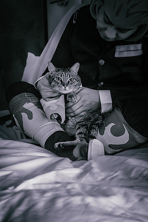 Rengoku Cat-5359