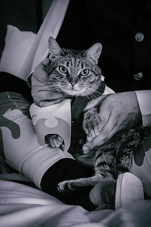 Rengoku Cat-5365
