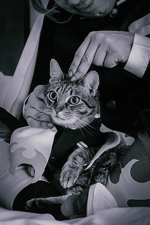Rengoku Cat-5374