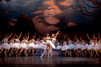 Swan Lake