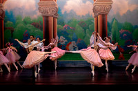 Dress Rehearsal Act 1-7110