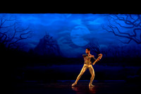 Dress Rehearsal Act 2-7368