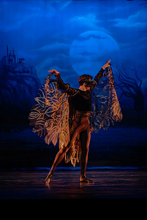 Dress Rehearsal Act 2-7438