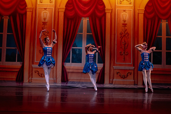 Dress Rehearsal Act 3-8009