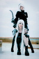 2B & A2 AK5A7548-Enhanced-NR