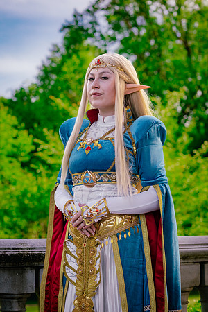 J Zelda-7581