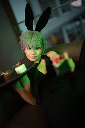 PREVIEW-6113