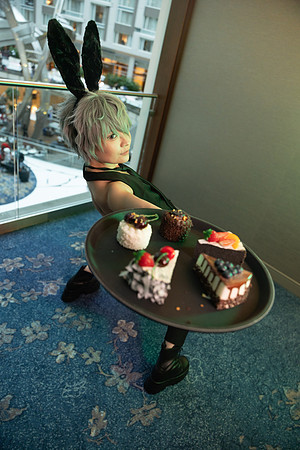 PREVIEW-6158