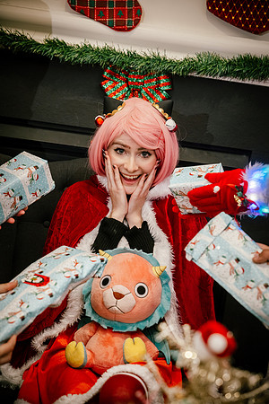 SPY XMAS FAMILY -2978