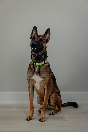 Pup AK5A6512-Enhanced-NR